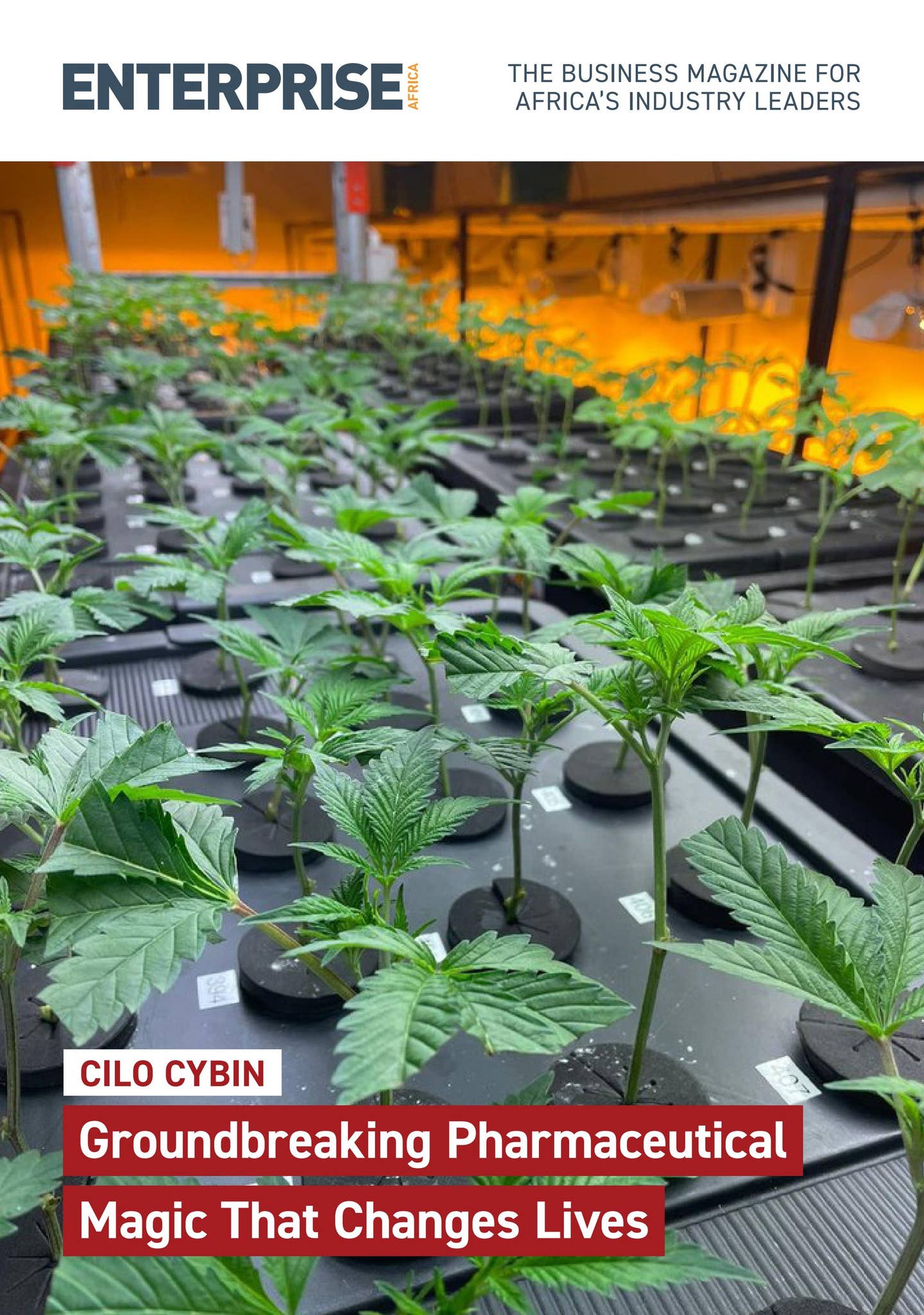 Cilo Cybin - Enterprise Africa September 2024 by CMB Media Group - Issuu