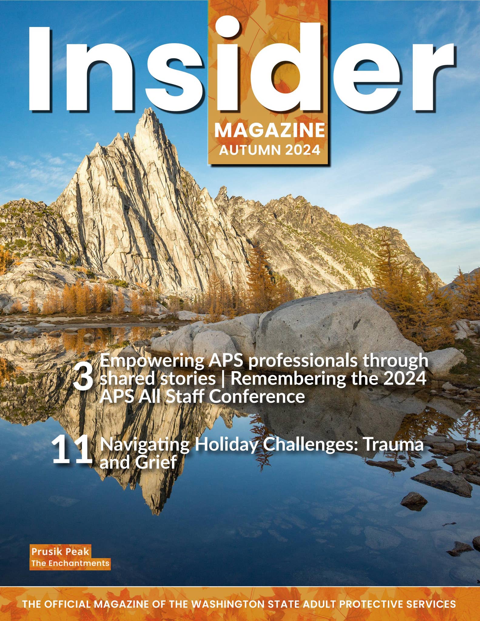 APS Magazine Autumn (Oct/Nov/Dec) 2024 by dshs_altsa - Issuu