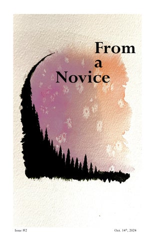From a Novice: Issue #2