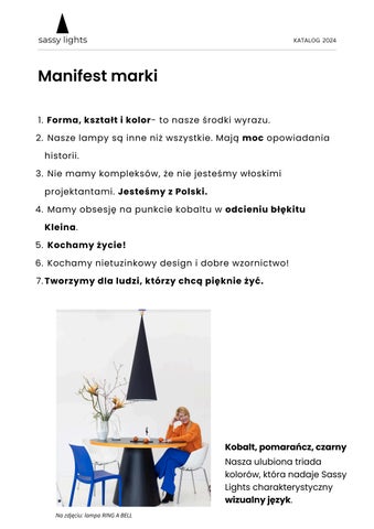 目录 Sassy 灯具 第 3 页