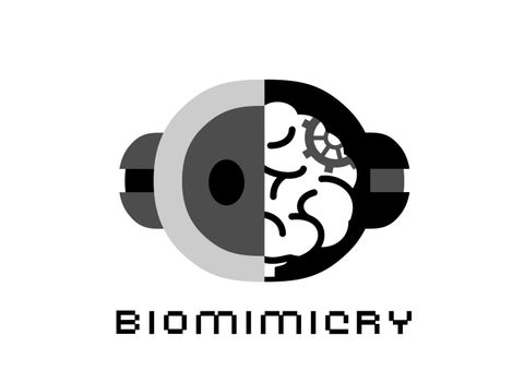 畢製-Biomimicry