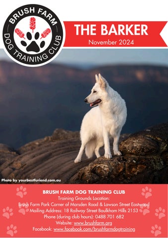 The Barker - November 2024