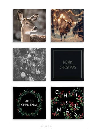 Christmas 2025 第 24 页