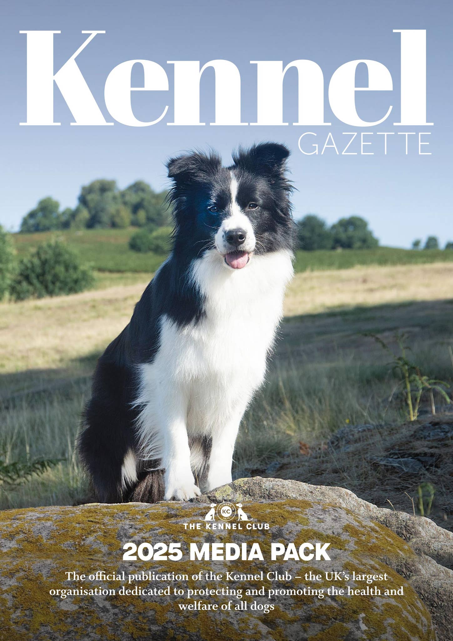 Kennel Gazette Media Pack 2025 by newhallpublishing - Issuu