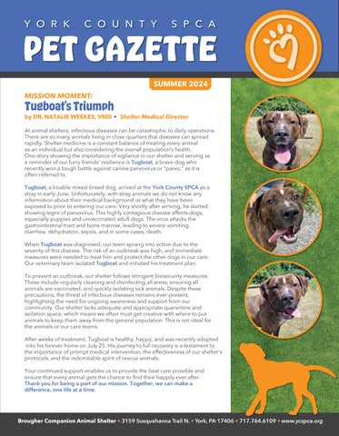 YCSPCA Summer Newsletter