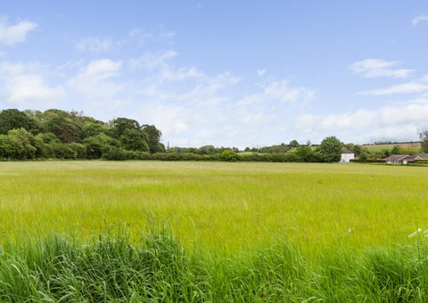 Fine & Country / DDM Residential 灯饰目录 · Kings Road 第 16 页