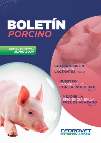 Boletín Porcino Junio 2024 / Cedrovet