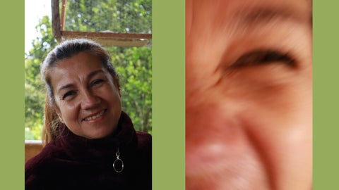 Mariana Correa Giraldo 灯饰目录 · Four seasons 第 11 页