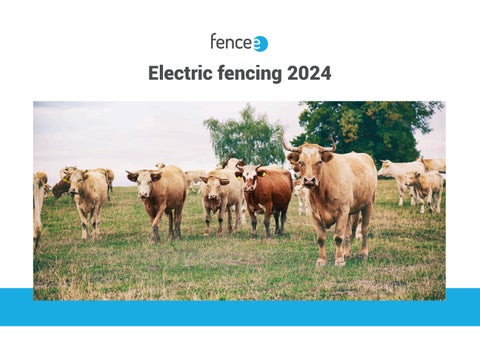 fencee Catalogue 2024