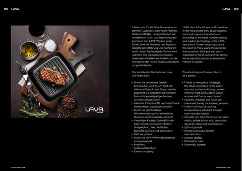 WAS - Lava Cast Iron 第 2 页
