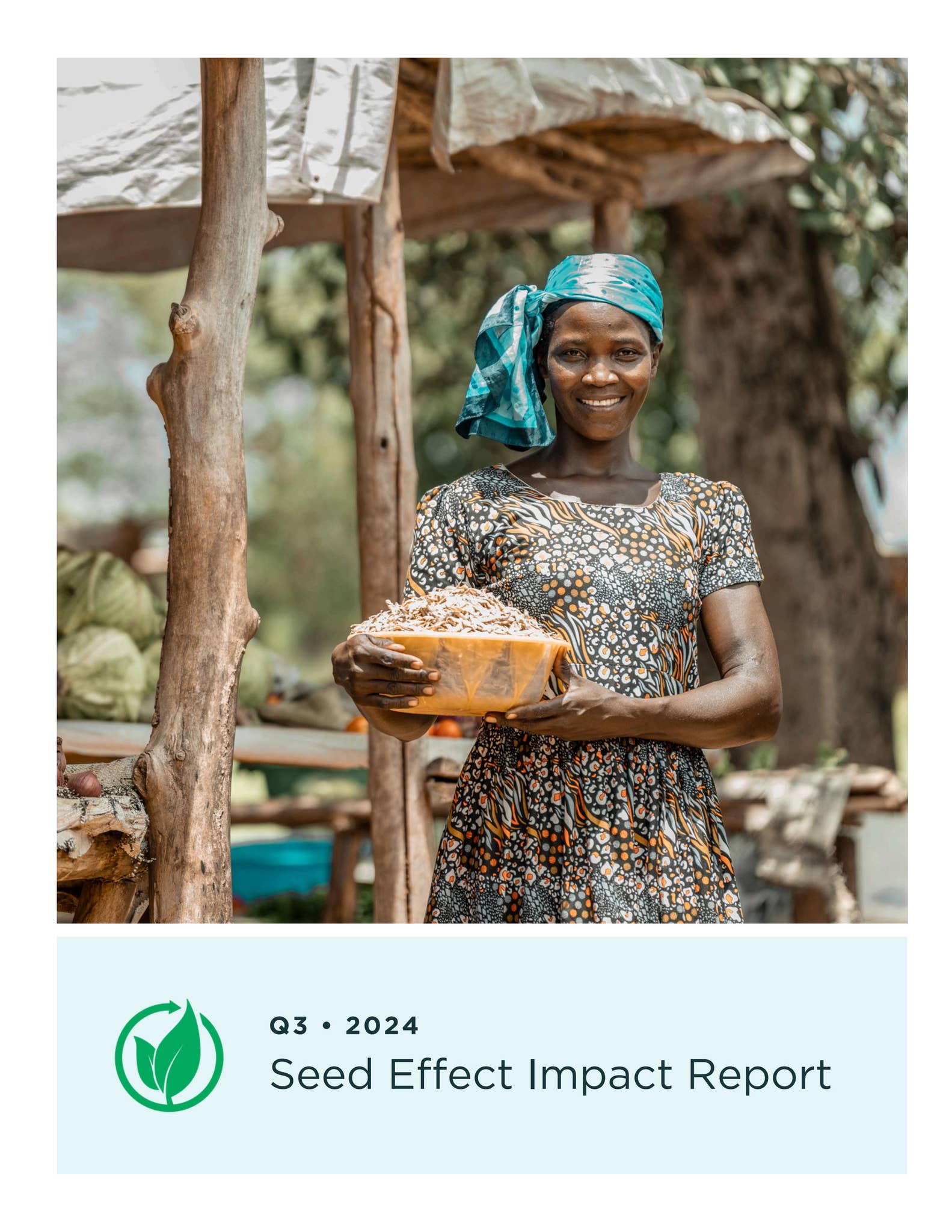 Seed Effect Q3 2024 Impact Report by seedeffect - Issuu