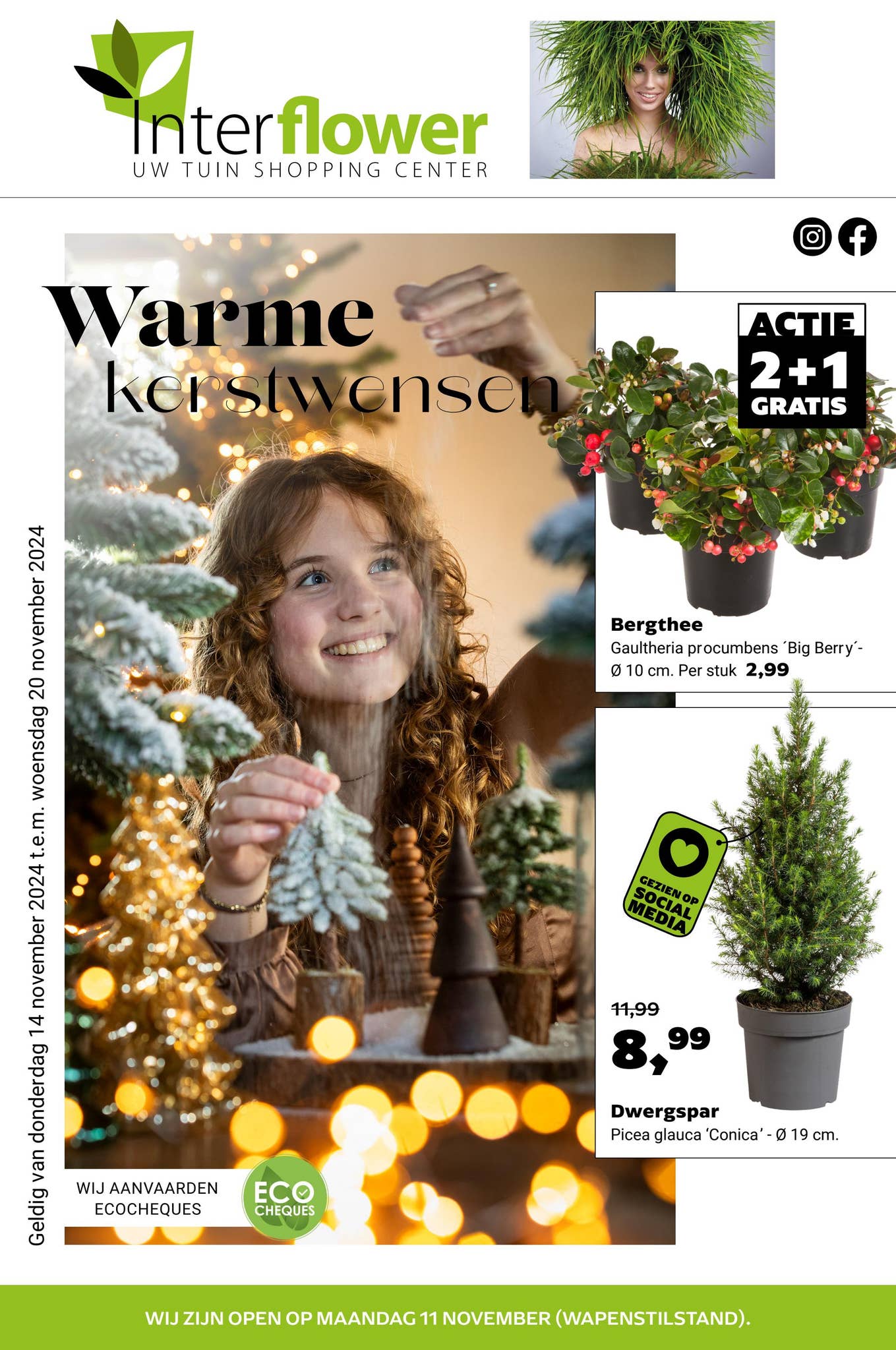 Tuincentrum Interflower | Folder 17 2024 by grsretail - Issuu