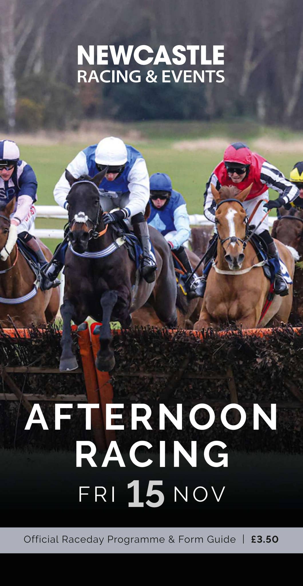 Newcastle Racing Fs Newcastle Racecard - Friday 15th November by Arena Racing Company - Issuu