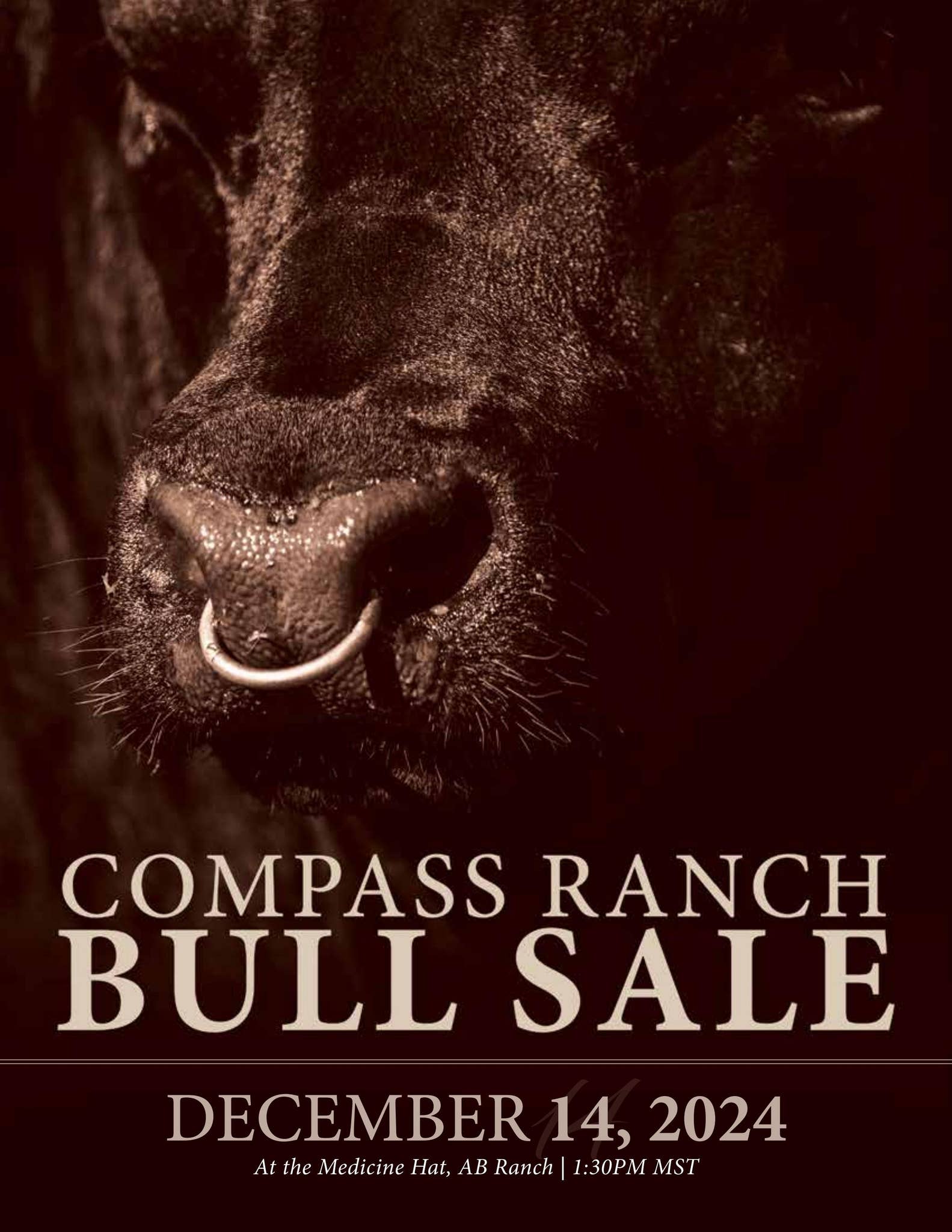 Compass Ranch Bull Sale - Medicine Hat, AB by DLMS-Cattlevids.ca - Issuu