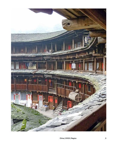 Vernacular Architecture 第 3 页