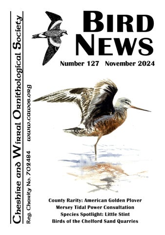 Bird News No. 127