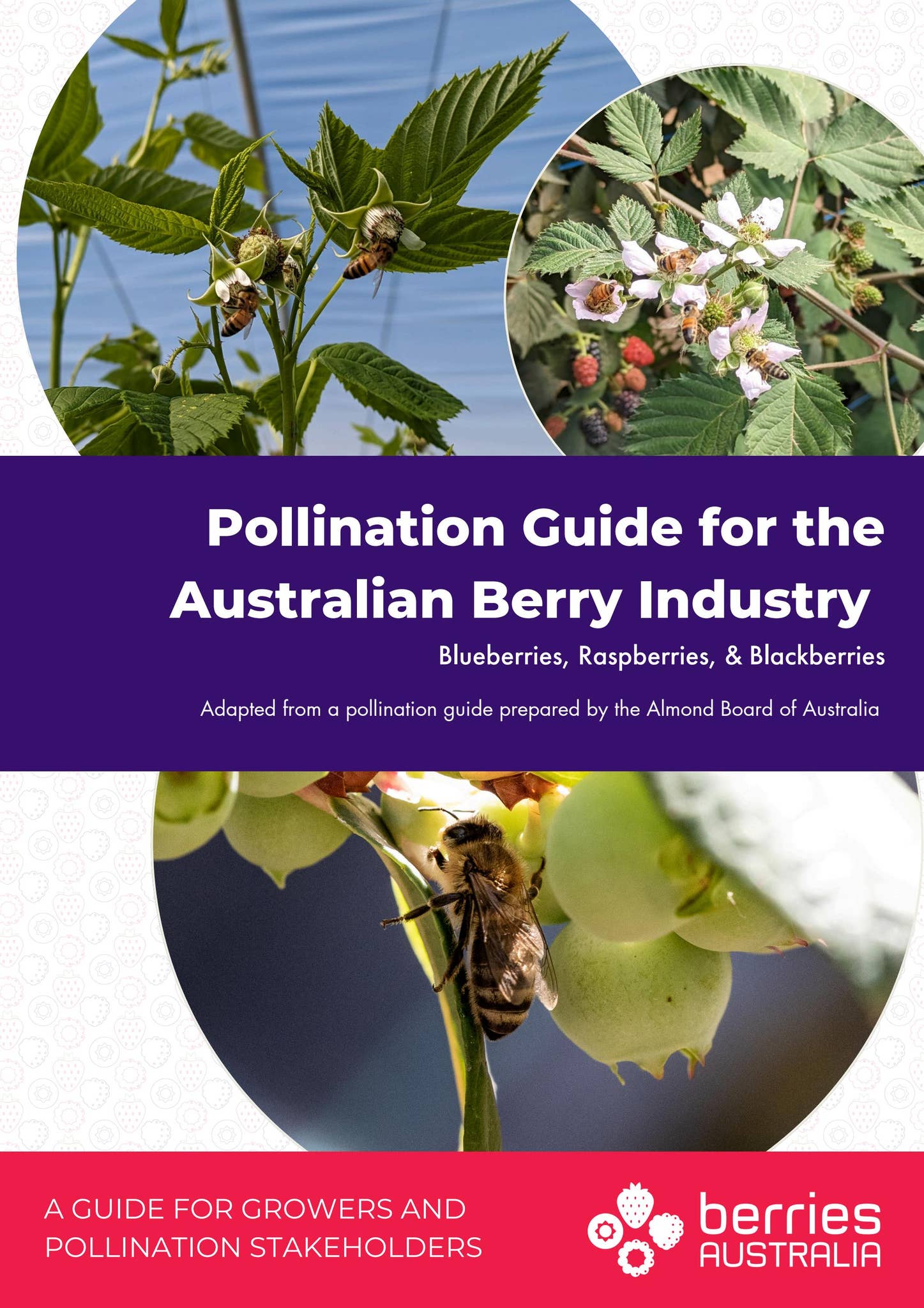 Berries Australia Best Practice Pollination Guide V1.0 November 2024 by ...