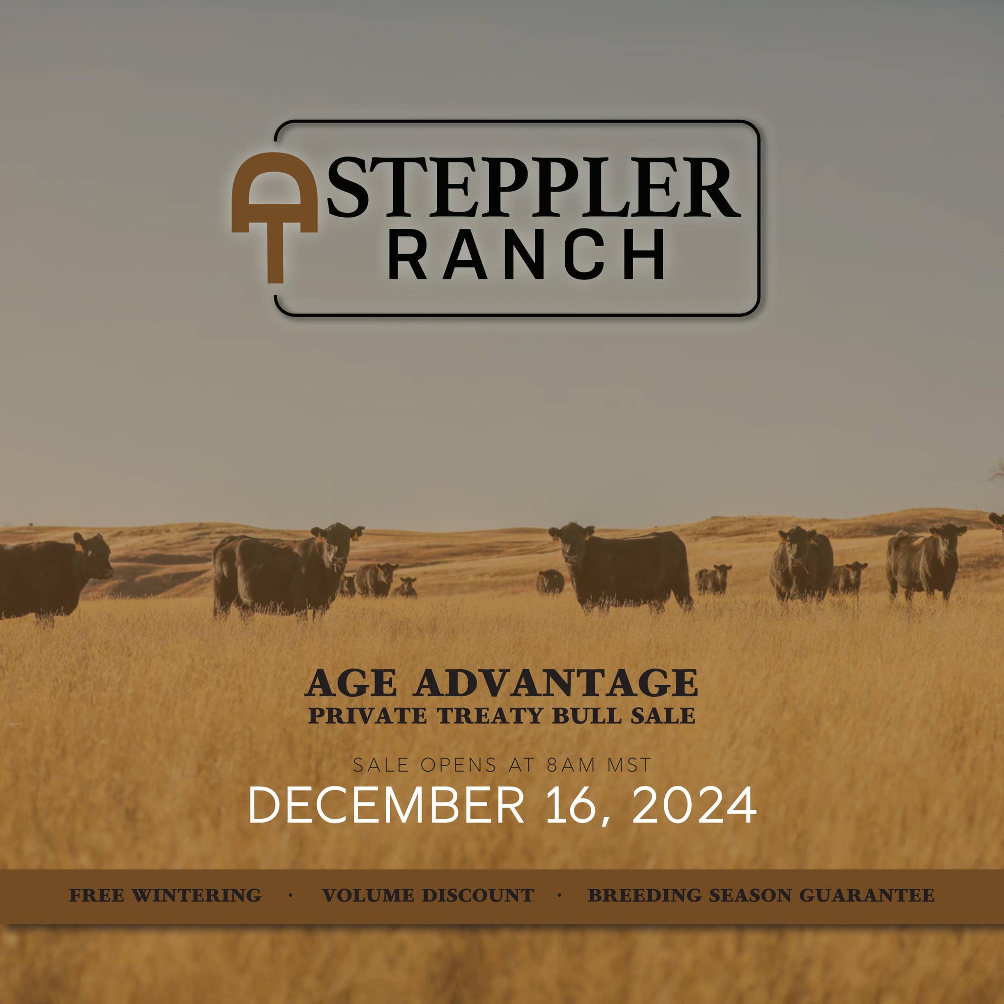 Steppller Steppler Ranch Age Advantage Private Treaty Bull Sale by ...