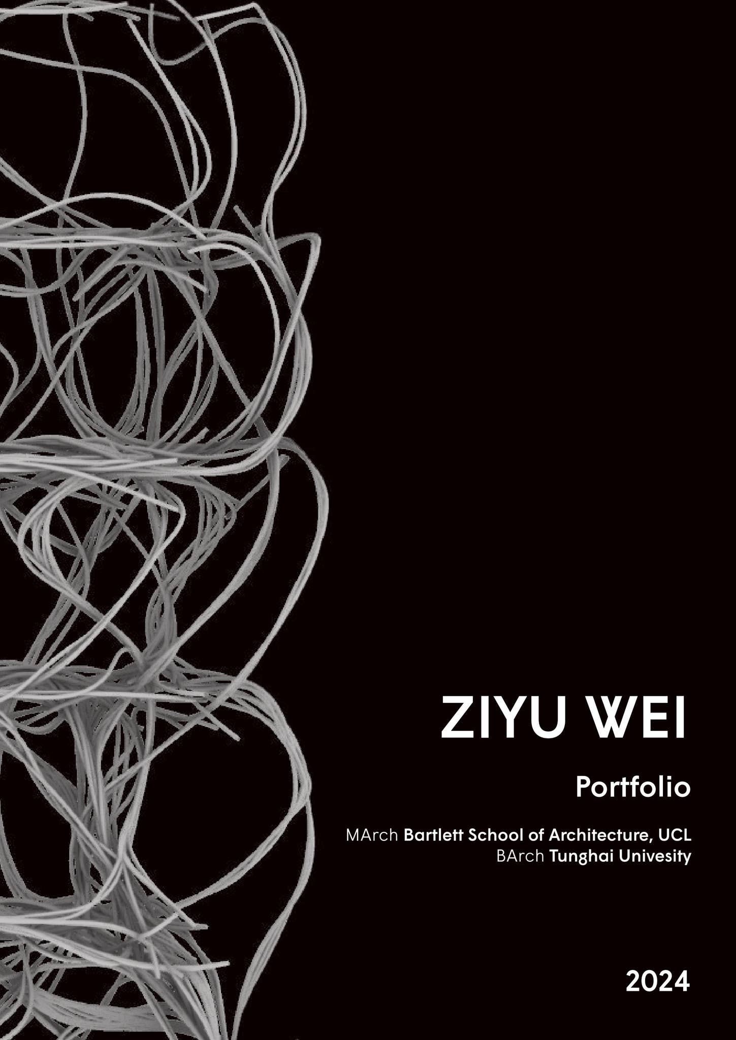 Ziyu Wei Portfolio 2024 by Nina WEI - Issuu