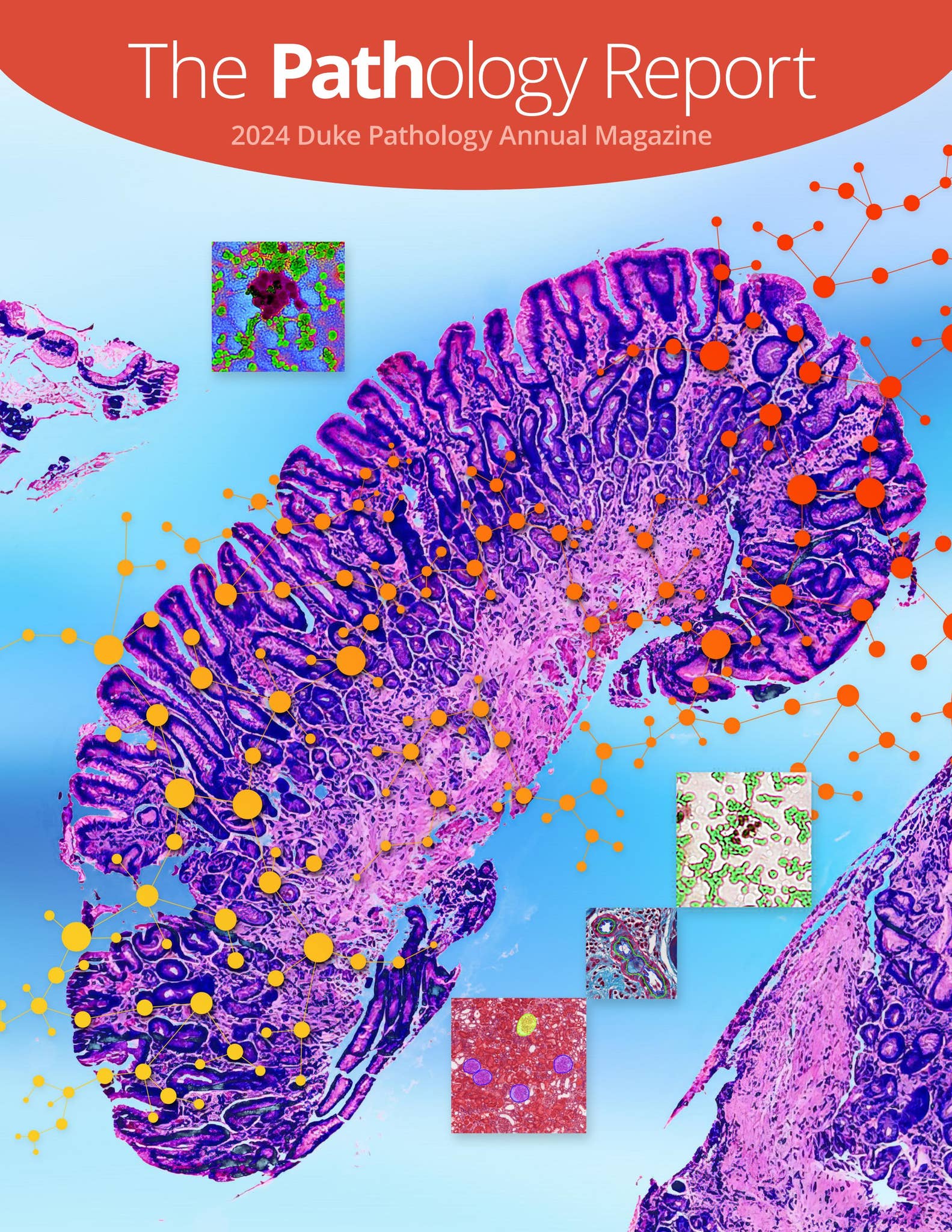 Duke Pathology Duke Pathology 2024 Annual Report by duke3712 - Issuu