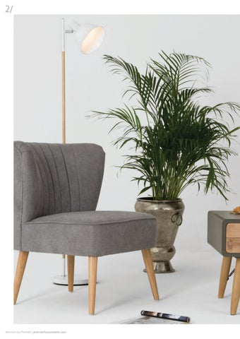 Interiors-Additions-2018 第 2 页