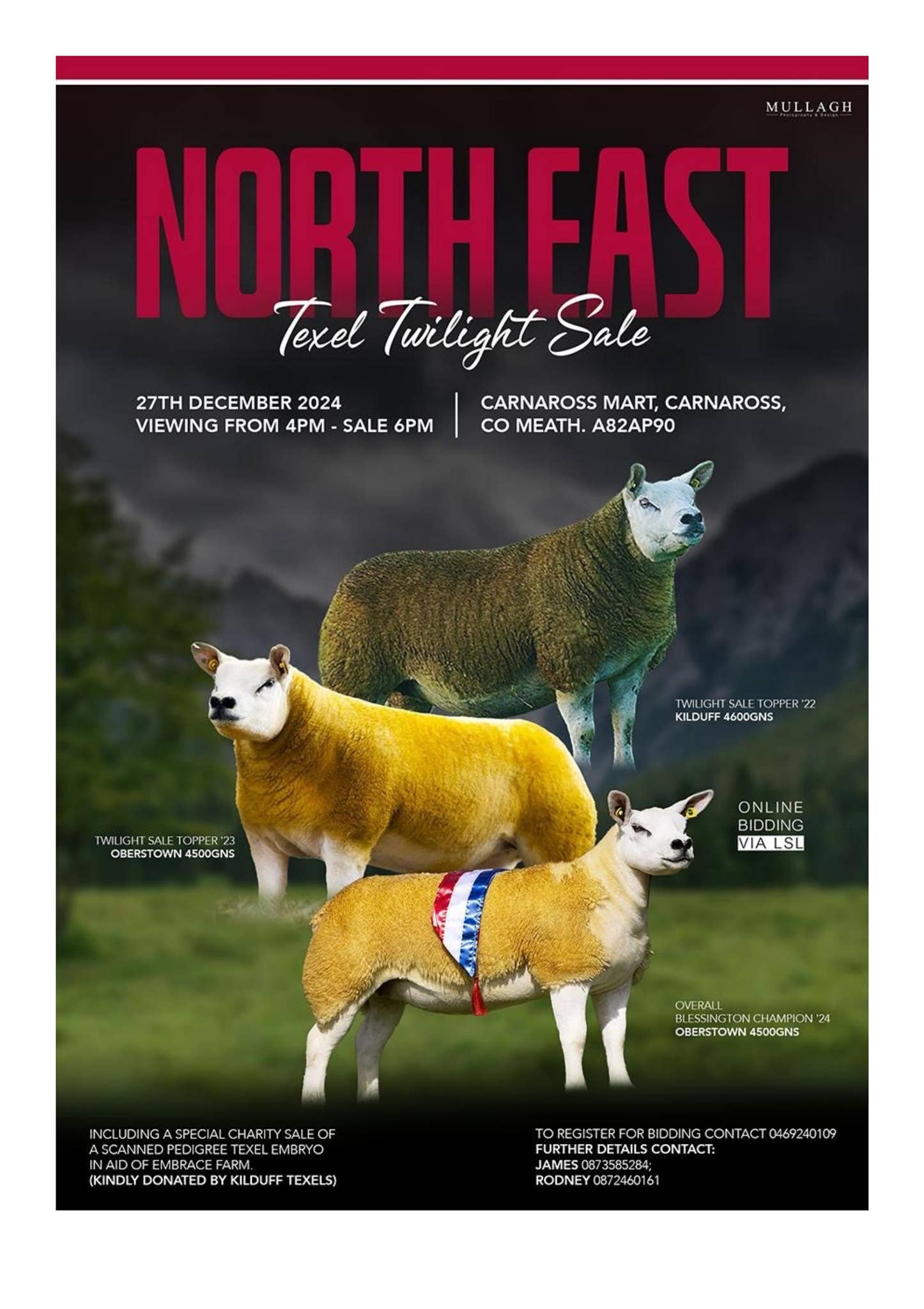 Twlight Catalogue 27th December by Irish Texel Sheep Society Issuu