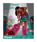 Dec 2024 Hawk