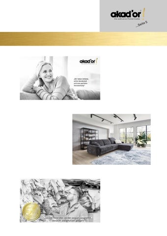 CI Richtlinie Akador 金色 第 5 页