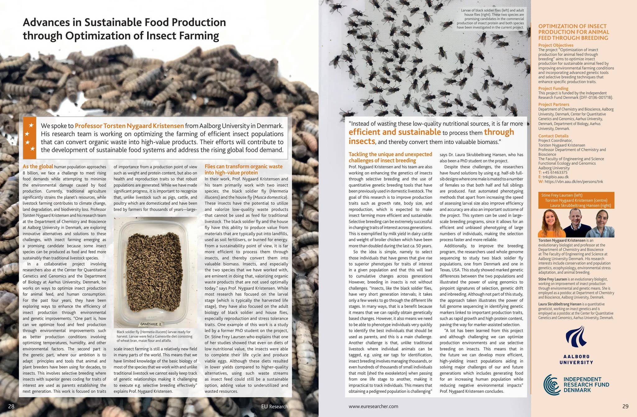 Producer Insect OPTIMIZATION OF INSECT PRODUCTION FOR ANIMAL FEED THROUGH BREEDING by ...
