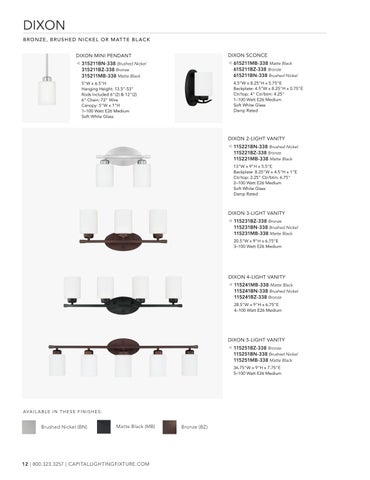 capitallighting Homeplace 灯饰目录 2025 第 12 页