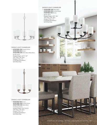 capitallighting Homeplace 灯饰目录 2025 第 13 页