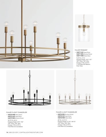 capitallighting Homeplace 灯饰目录 2025 第 14 页