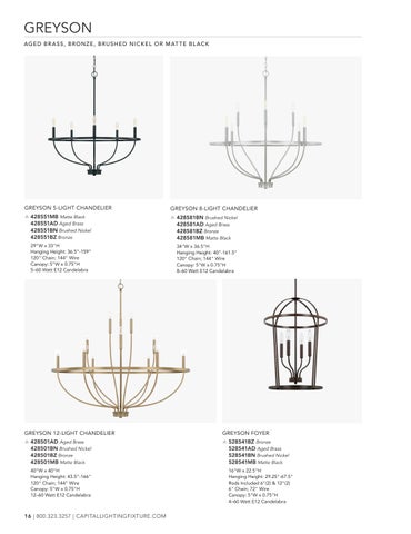 capitallighting Homeplace 灯饰目录 2025 第 16 页
