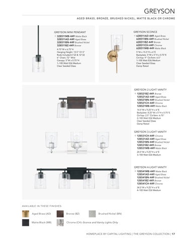 capitallighting Homeplace 灯饰目录 2025 第 17 页