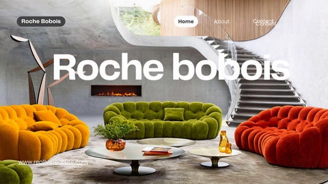 Roche bobois 
