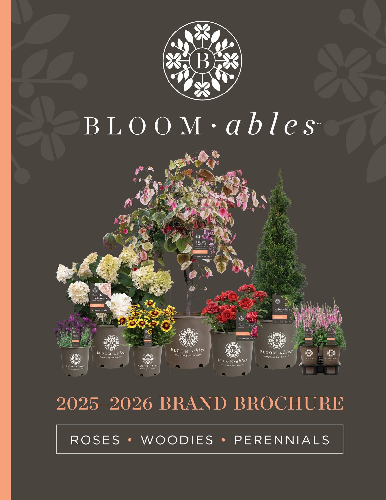 日傘〈Rose Blanc × familiar〉　2025ver Amazon | 100%遮光 日傘 折りたたみ傘【Rose Blanc】 日傘 晴雨