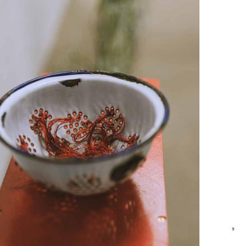Aasta värv on kirju. Colour of the year is diverse. 第 9 页
