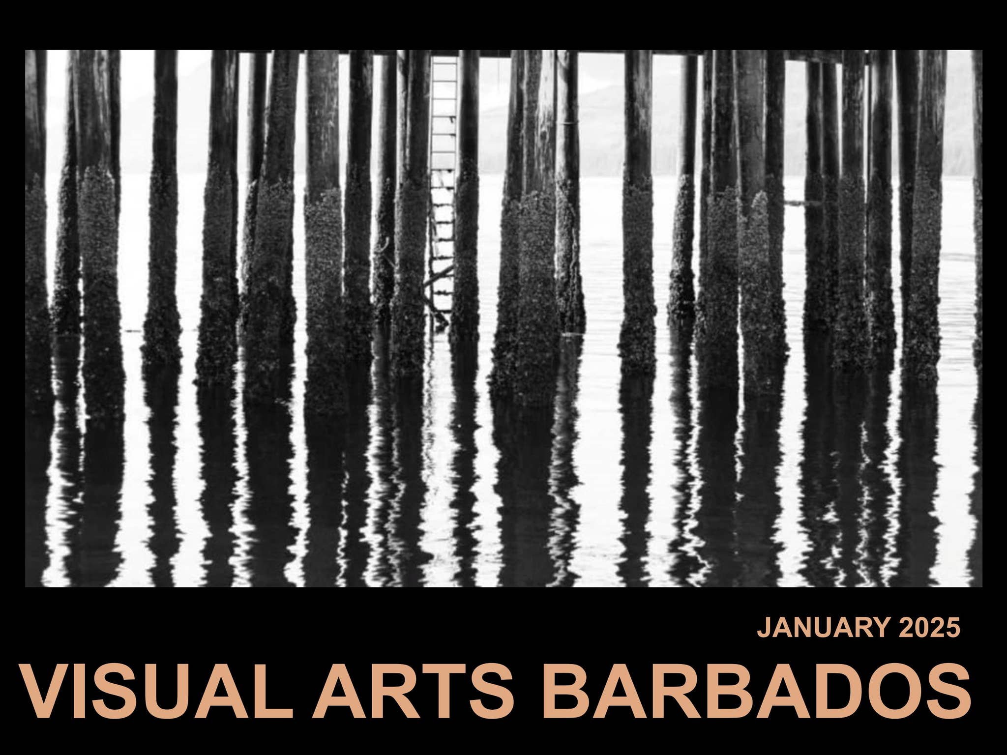 January Visual January 2025 Visual Arts Magazine Barbados by Corrie Scott - Issuu