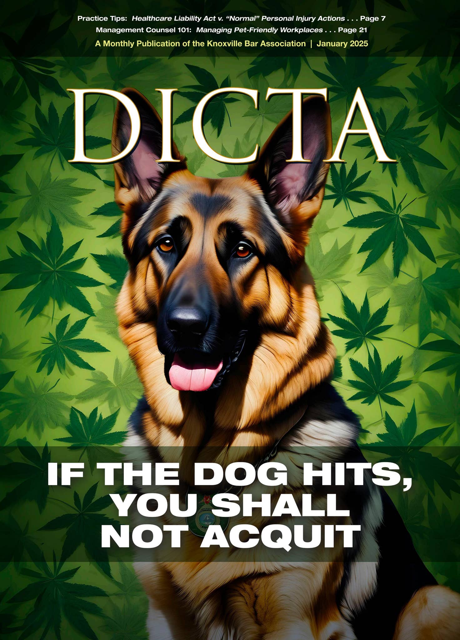 January 2025 DICTA by Knoxville Bar Association - Issuu