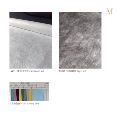 Dupont Paper 第 10 页
