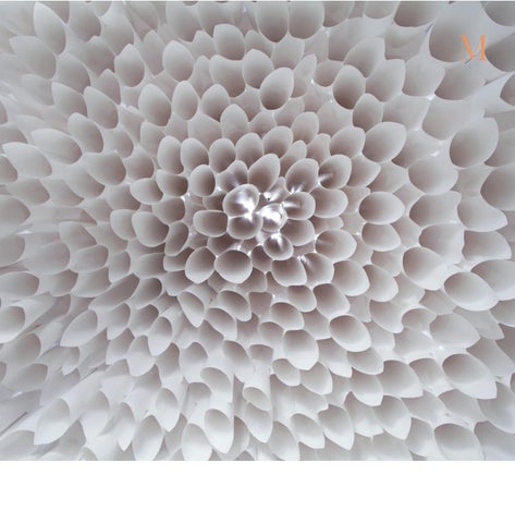 Dupont Paper 第 12 页