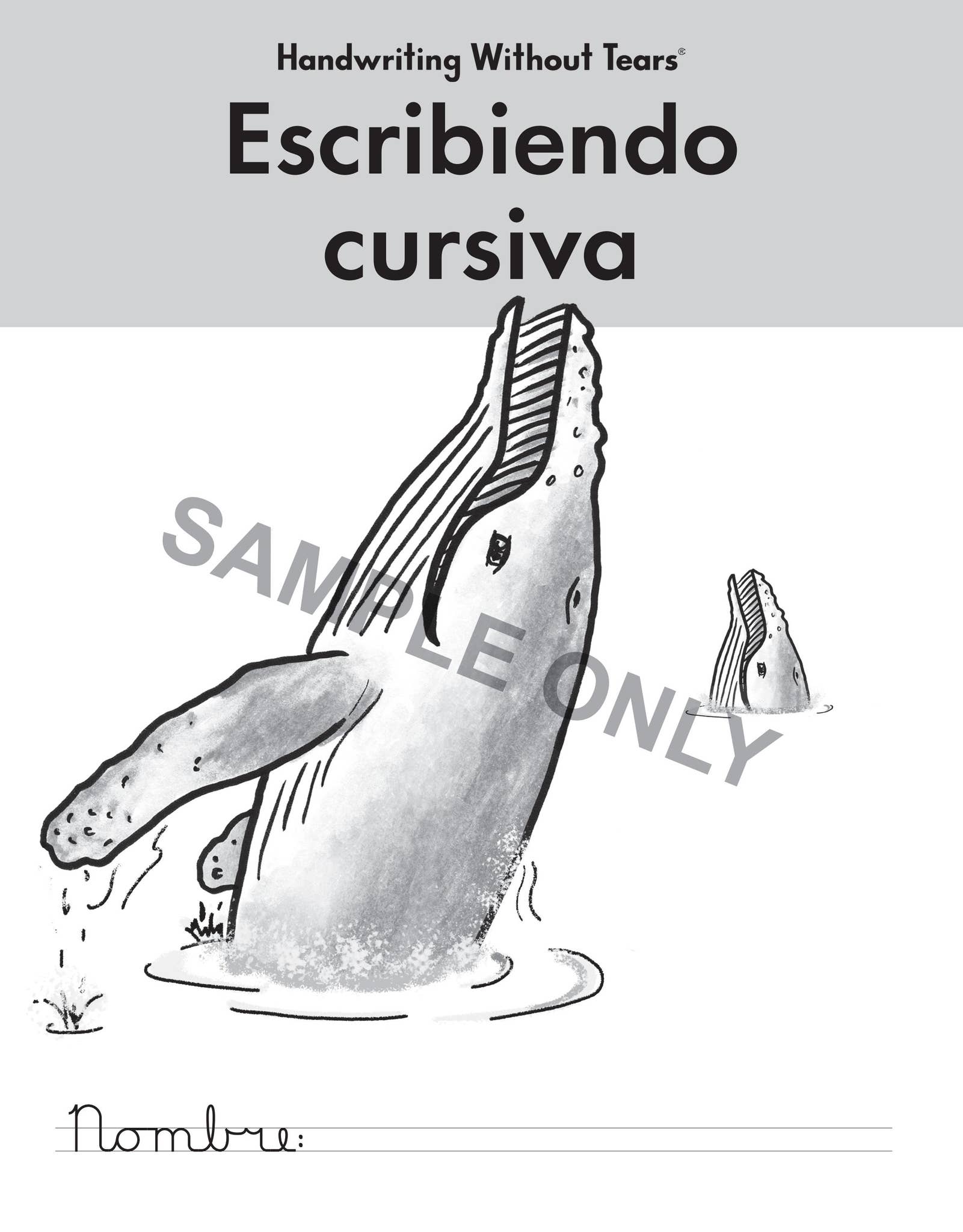 HWT25 CH SE3 Spanish by Learning Without Tears - Issuu