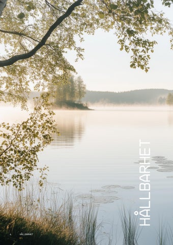 Stora Badrumsboken 2025 第 6 页