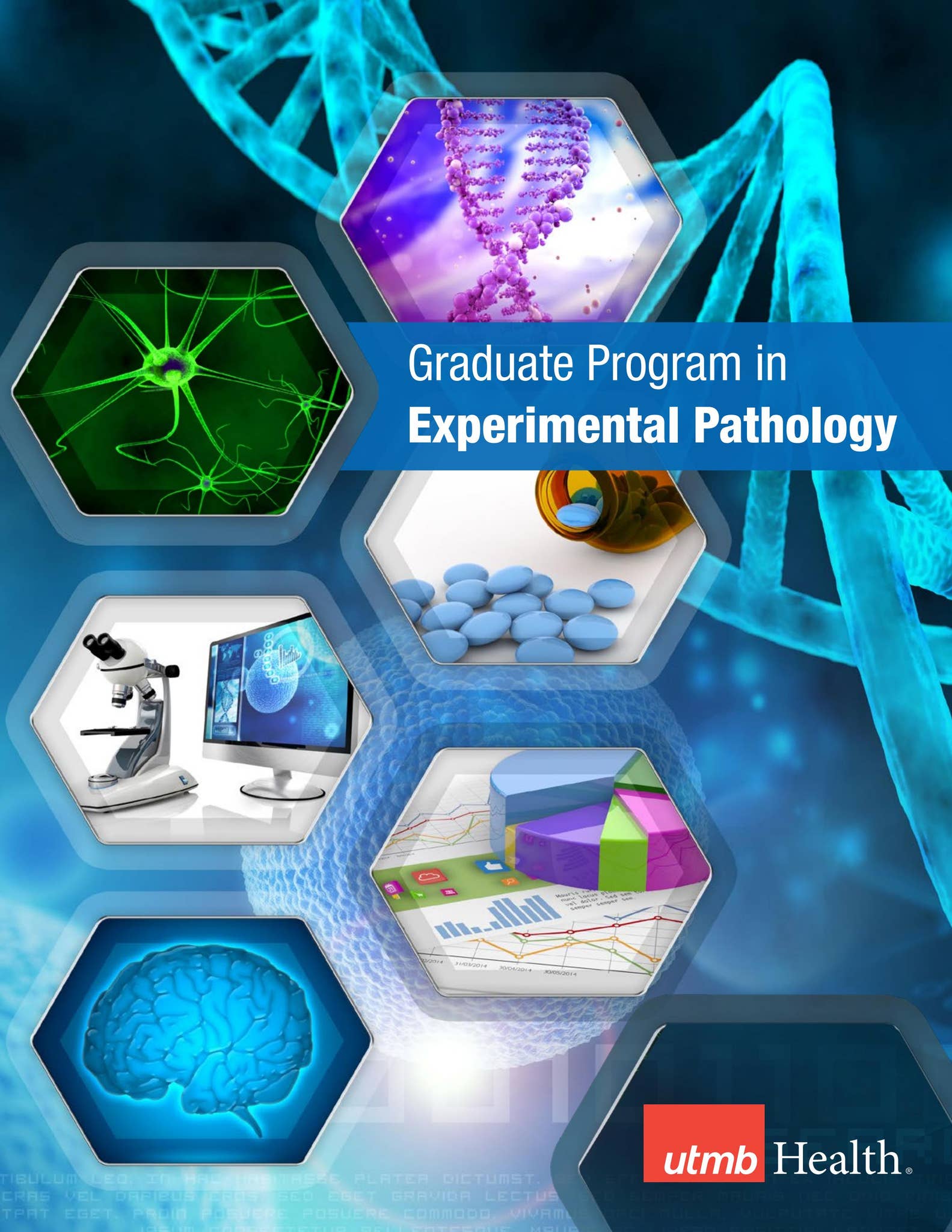 Fnp Utmb Program UTMB Graduate Program in Experimental Pathology by UTMB Health - Issuu