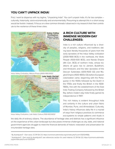 Unpacking India 第 3 页