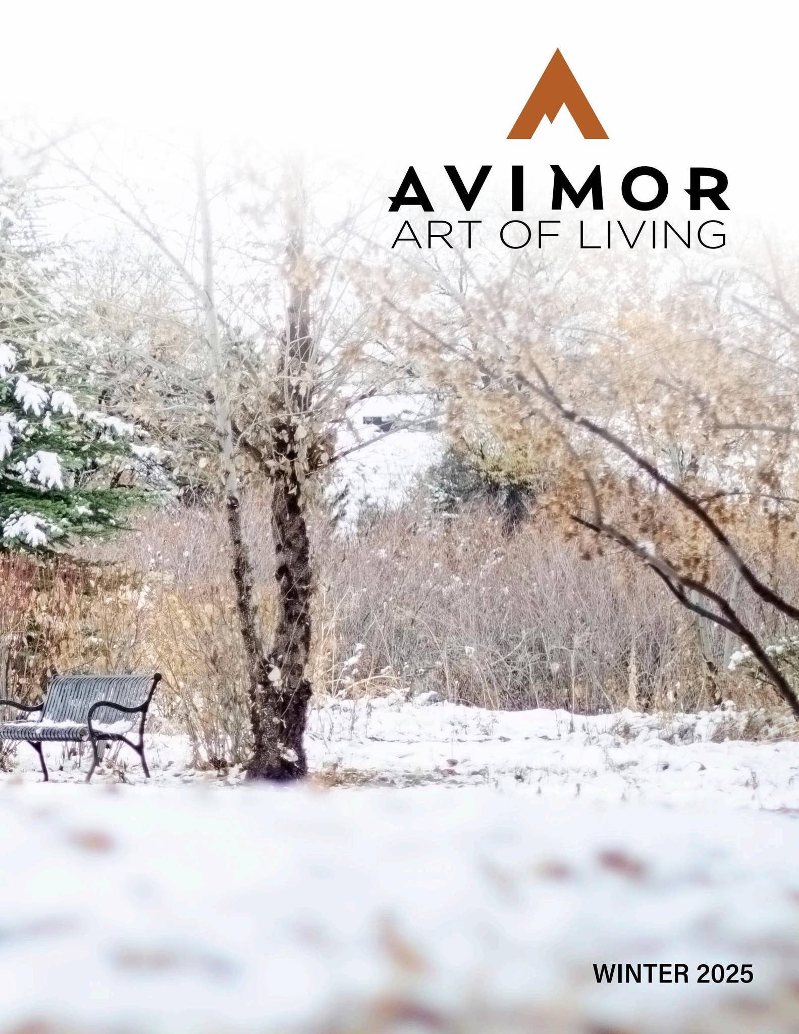 Avimor Winter 2025 Magazine by IMPBoise - Issuu