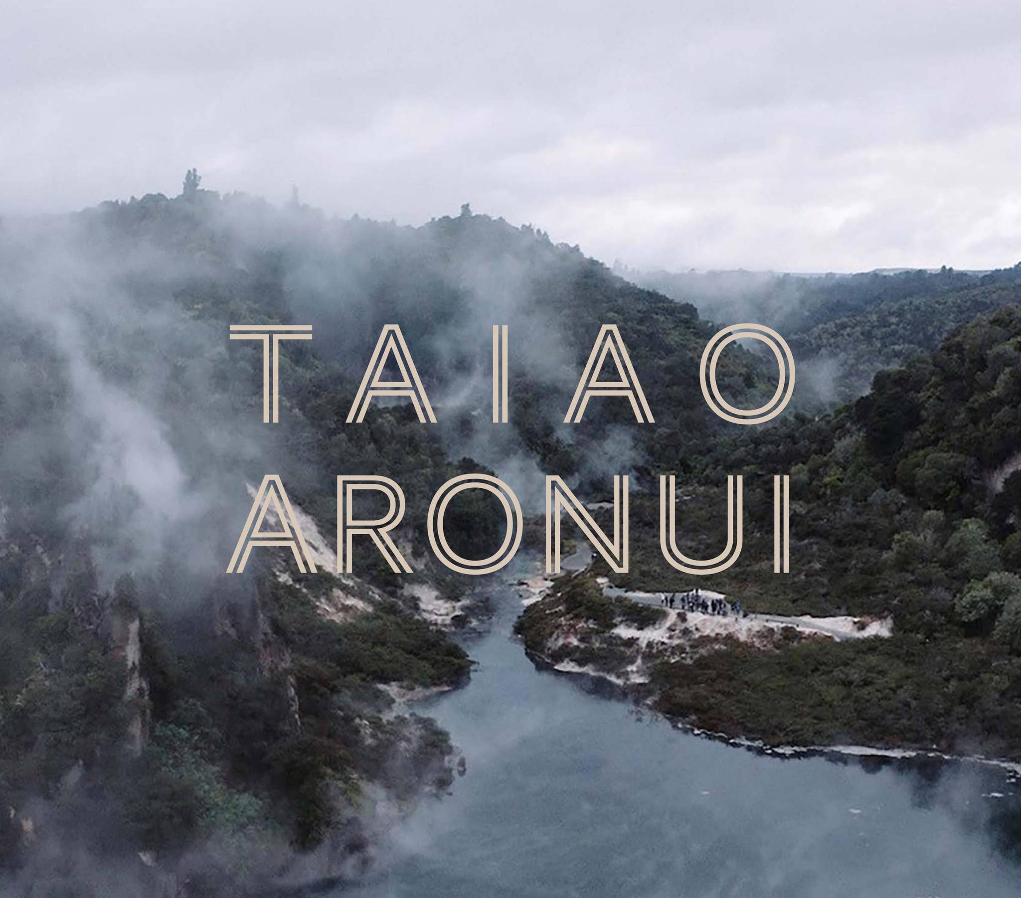 Te Aronui Rua Taiao Aronui brochure by Royal Society Te Apārangi - Issuu