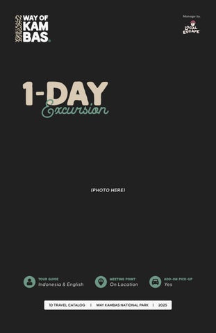 1-Day Trip Excurtion (Preview)