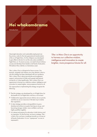 Tihe i a Maru Ora Education Strategy 第 13 页