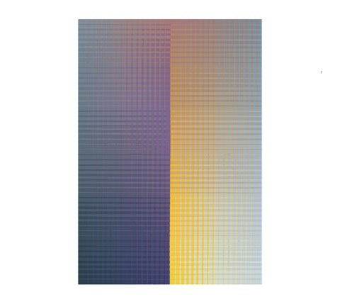 Optics and Perception: Prismatic, Patterned, Vectored, and Perspectival Approaches 第 9 页